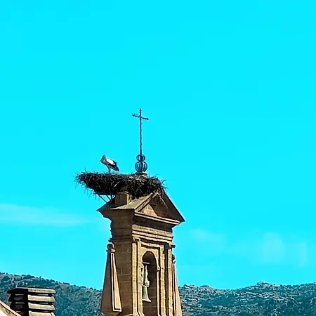 Atico Centro Antequera